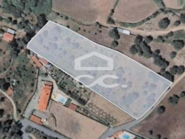 Terreno venda em Castelo Branco