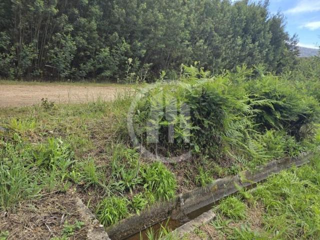 Terreno venda em Castelo Branco, Canhoso