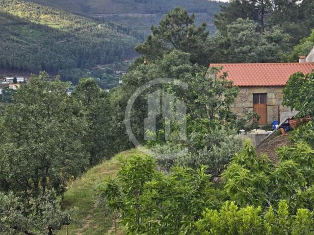 Terreno venda em Castelo Branco, Canhoso