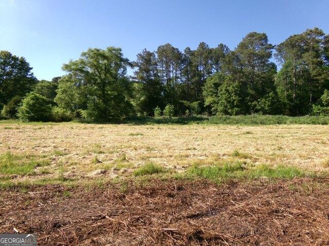 Land for sale in Georgia