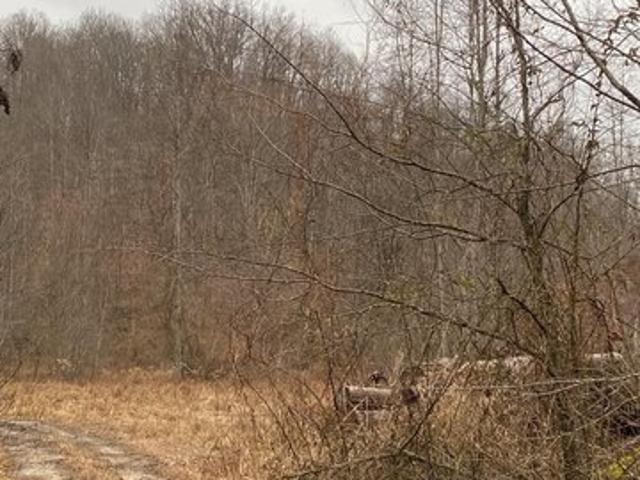 Land for sale in Salyersville, Kentucky