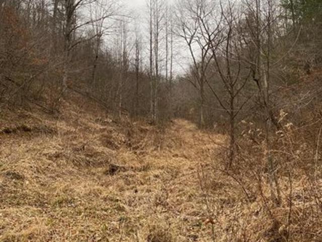 Land for sale in Salyersville, Kentucky