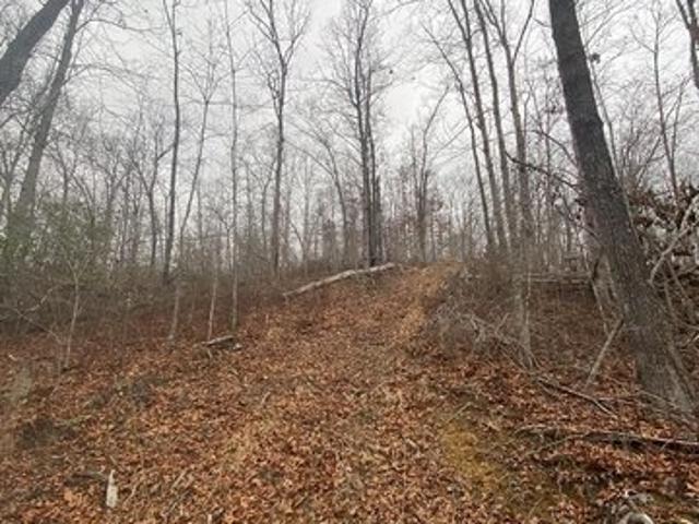 Land for sale in Salyersville, Kentucky