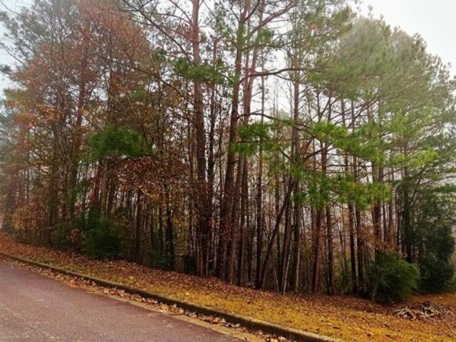 Land for sale in Stockbridge
