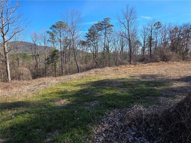 Land for sale in Pickens, Georgia