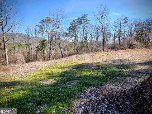 Land for sale in Pickens, Georgia