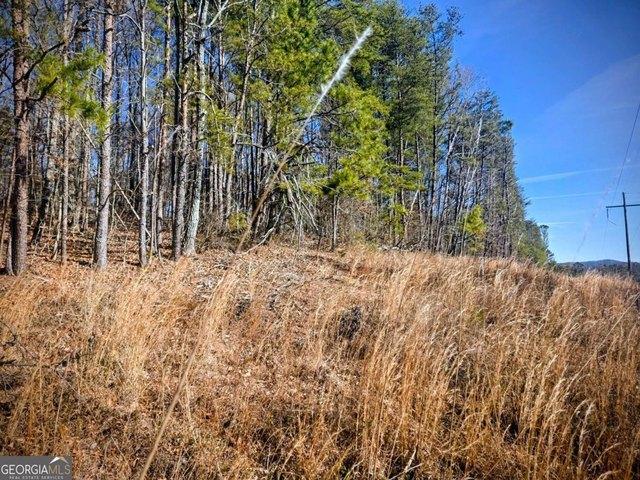 Land for sale in Pickens, Georgia
