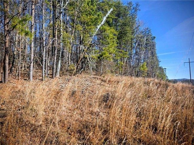 Land for sale in Pickens, Georgia