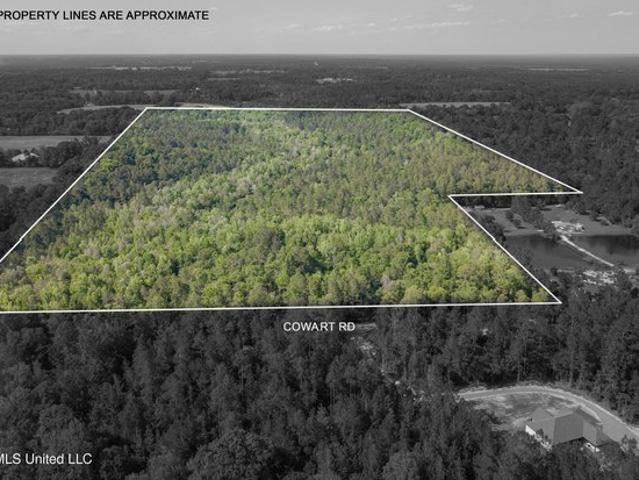 Land for sale in Lucedale, Mississippi