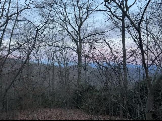 Land for sale in Bryson City, North Carolina