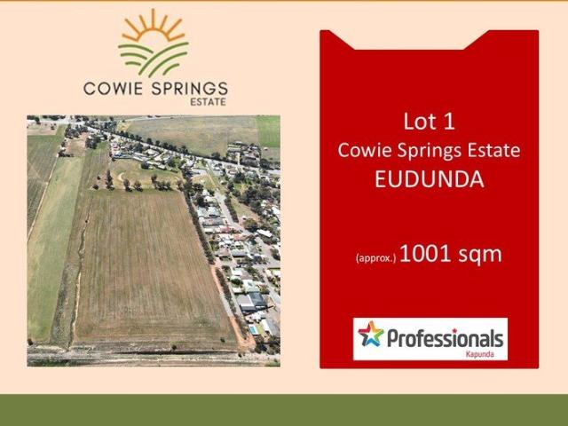 Land for sale in Goyder, South Australia