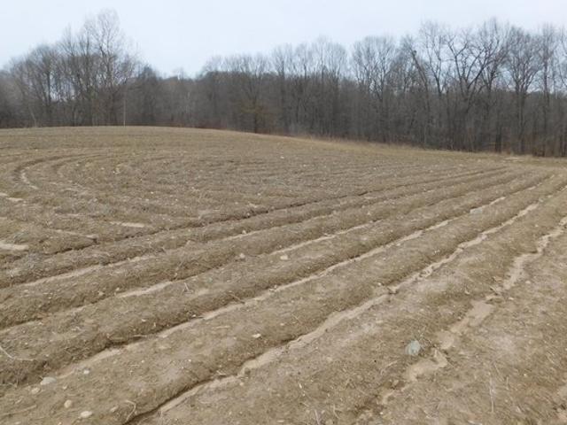 Land for sale in Eaton, Michigan