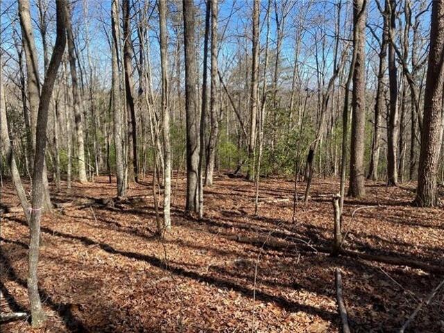 Land for sale in Blue Ridge
