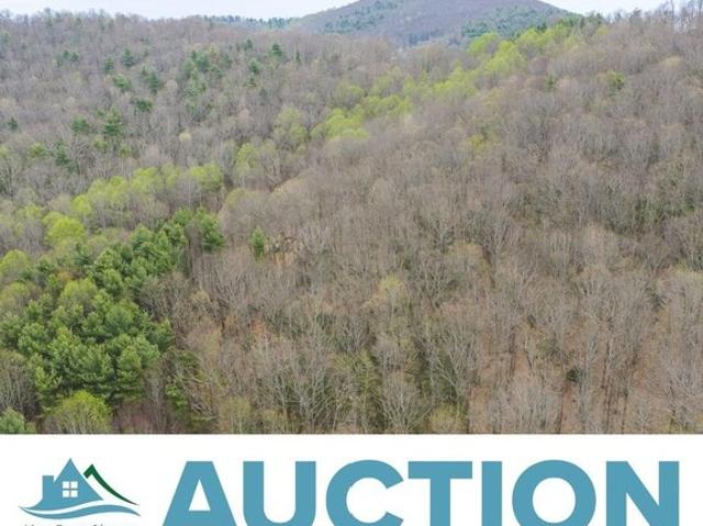 Land for sale in Virginia