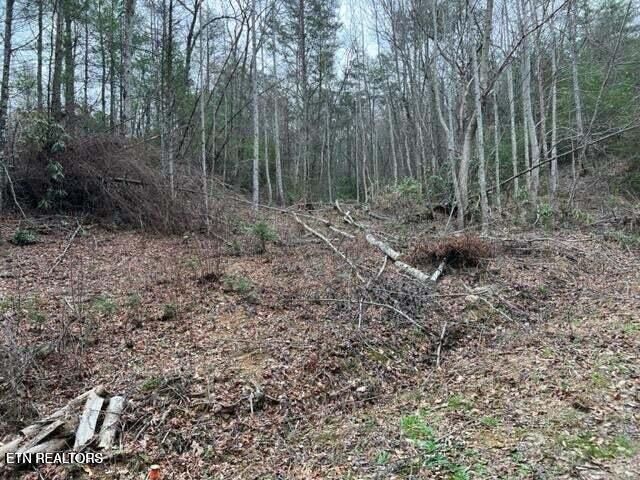 Land for sale in Tennessee