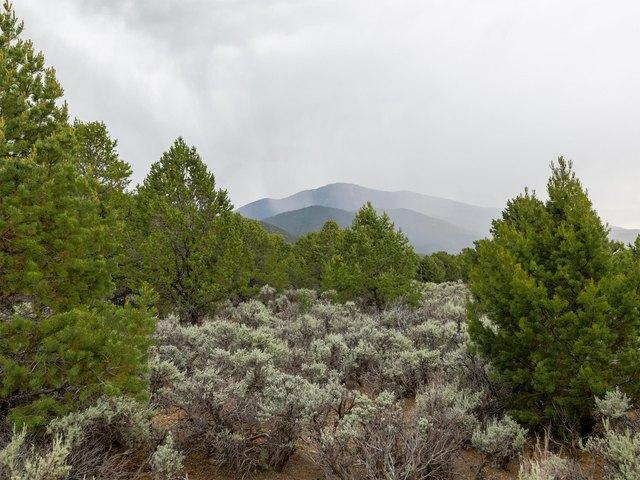 Land for sale in Costilla, New Mexico