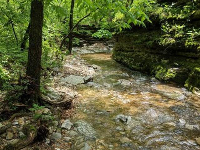 Land for sale in Barry, Missouri