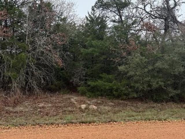 Land for sale in Carmine, Texas