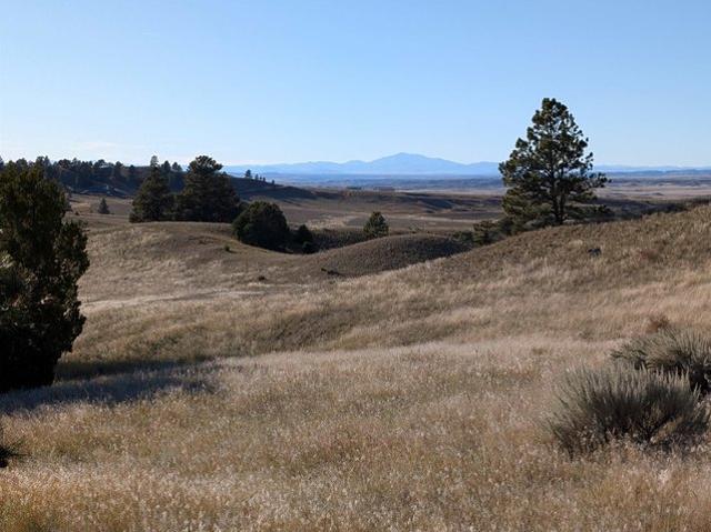 Land for sale in Wyoming