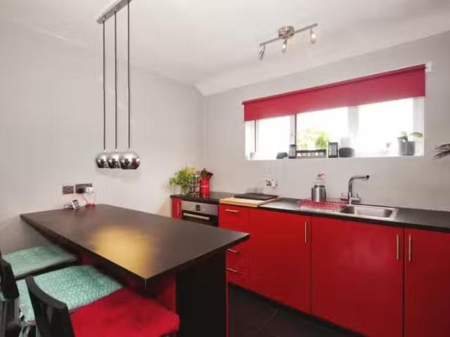 House for rent