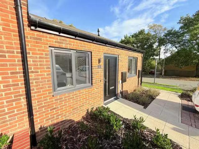 House for rent