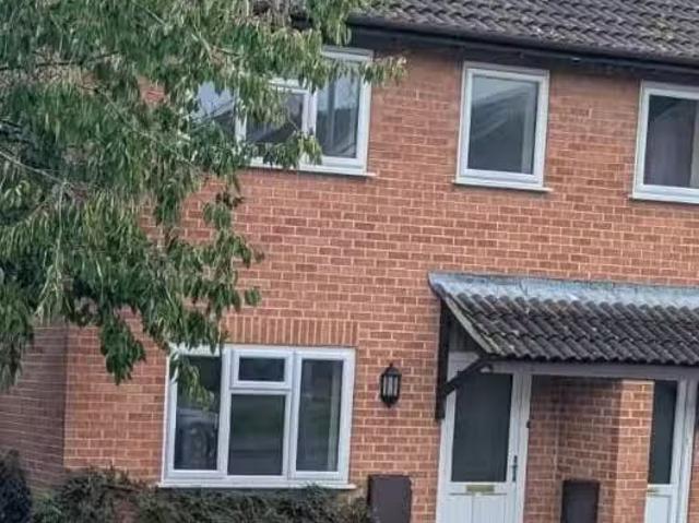 House for rent