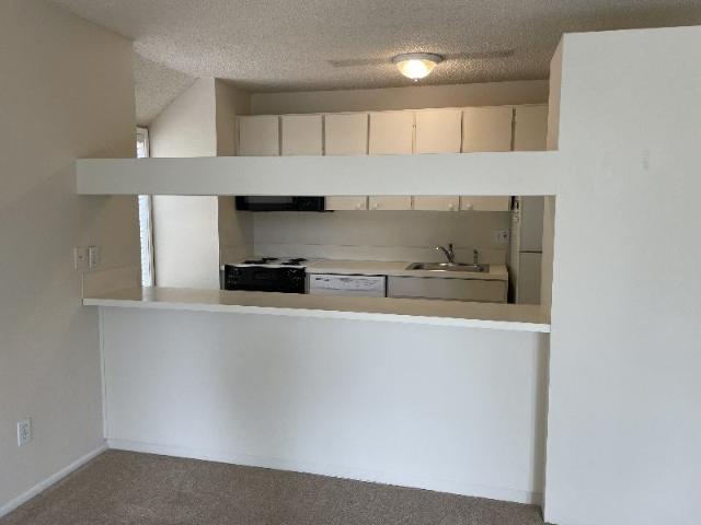 Room for rent in Oregonia