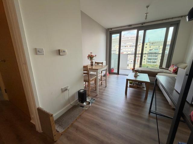 Apartment for rent in Waterside Park, Silvertown