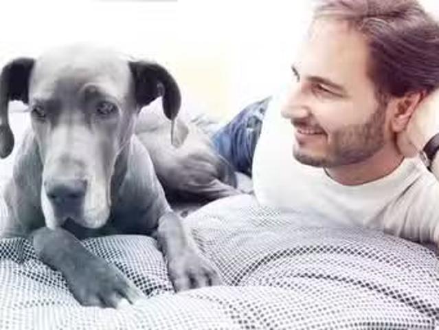 Condo for rent in Halifax, Nova Scotia