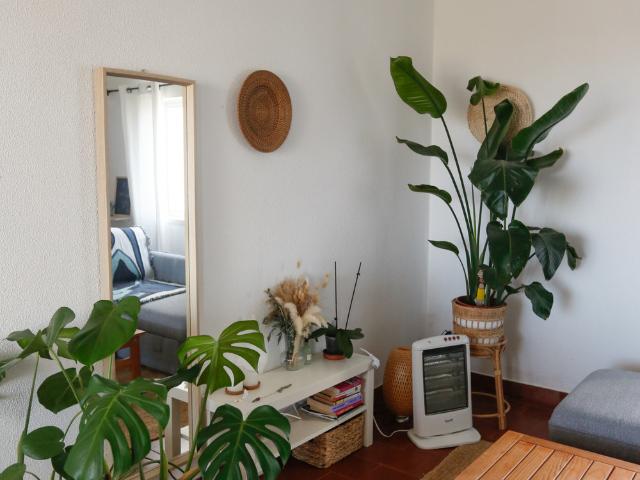 Apartamento alugar em Vale da Telha, Aljezur