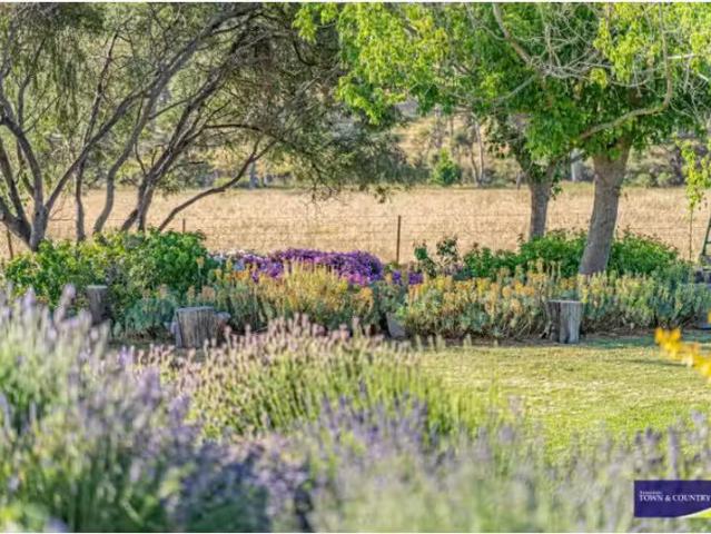 Apartment for rent in West Armidale, Armidale