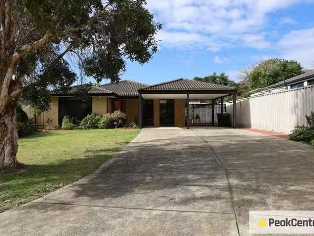 House for rent in Beeliar, Western Australia