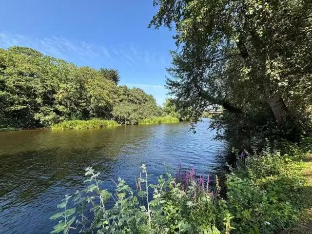 Apartment for rent in South Yorkshire