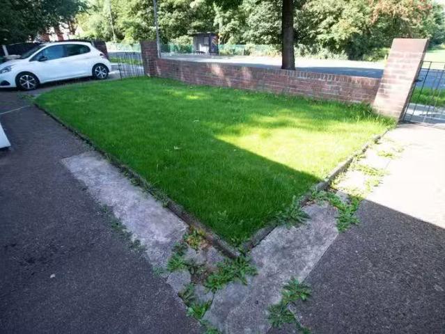 House for rent