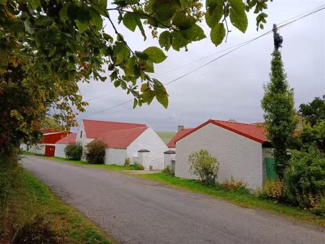 House to rent