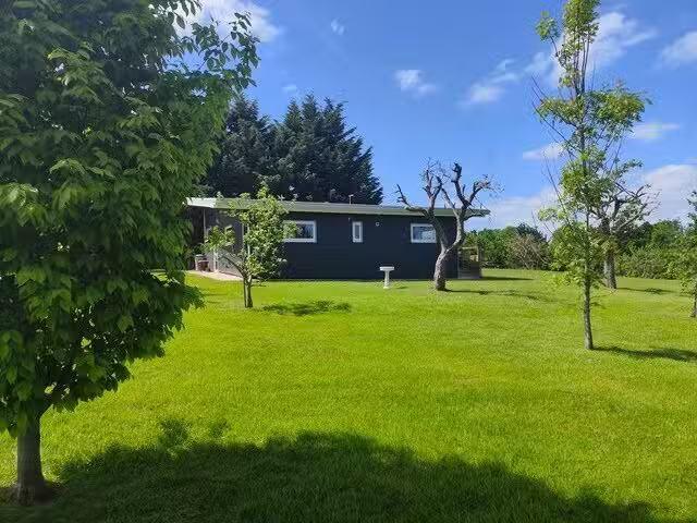 House for rent