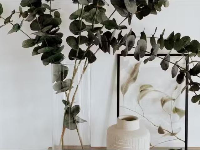 Apartment for rent in Wollongong West, New South Wales