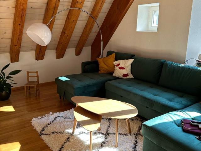 Apartment mieten in Wädenswil, Bezirk Horgen