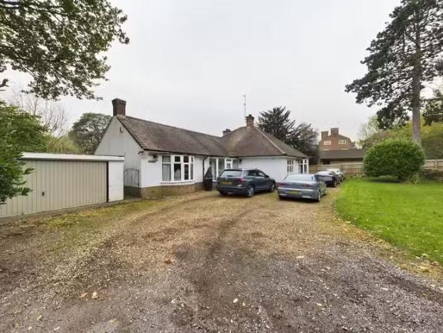 House for rent