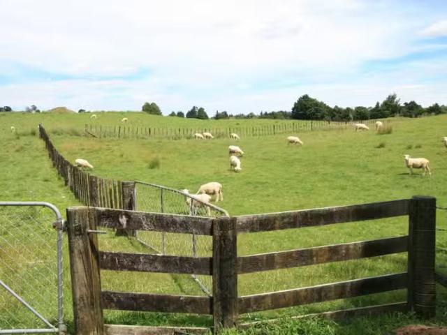 House for rent in Taranaki