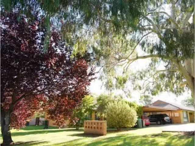 House for rent in Belfrayden, New South Wales