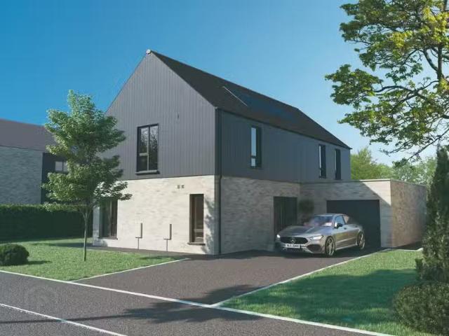 House to rent