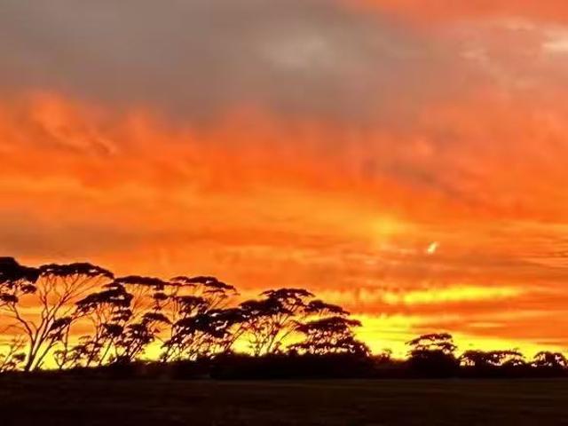 House for rent in Youndegin, Western Australia