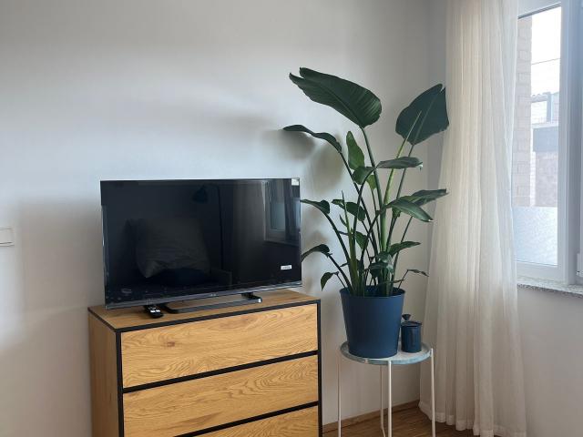 Apartment mieten in Lindenthal, Köln