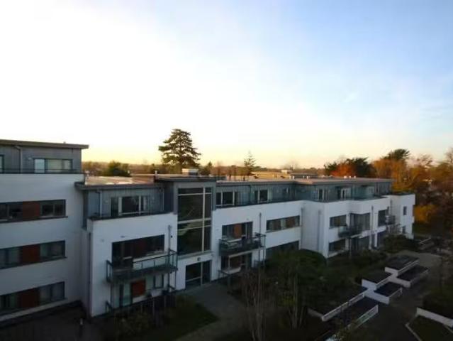 Apartment to rent