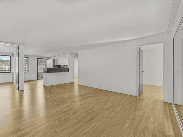 Apartment mieten in Schlieren, Bezirk Dietikon