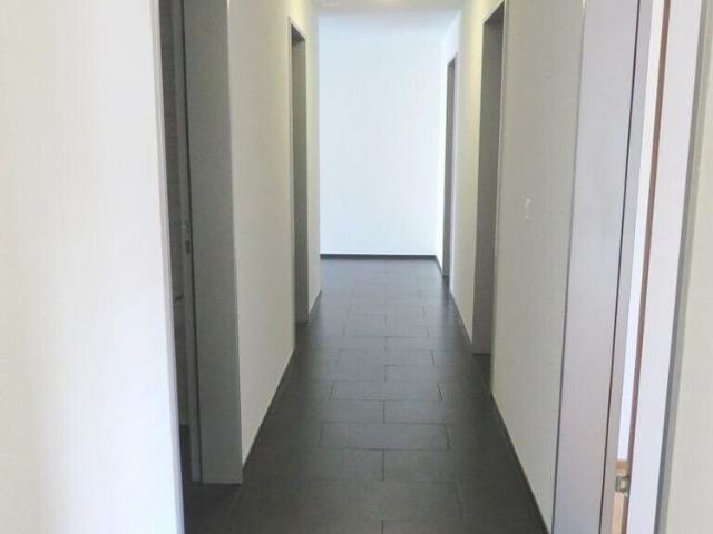 Apartment mieten in Solothurn