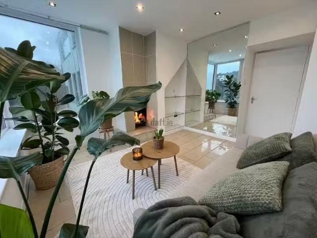 Apartment to rent