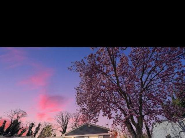 Room for rent in Maryland