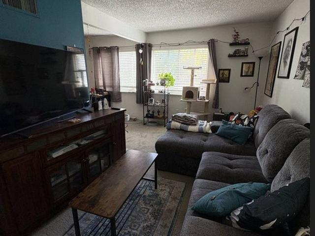 Room for rent in Fort Collins, Larimer County